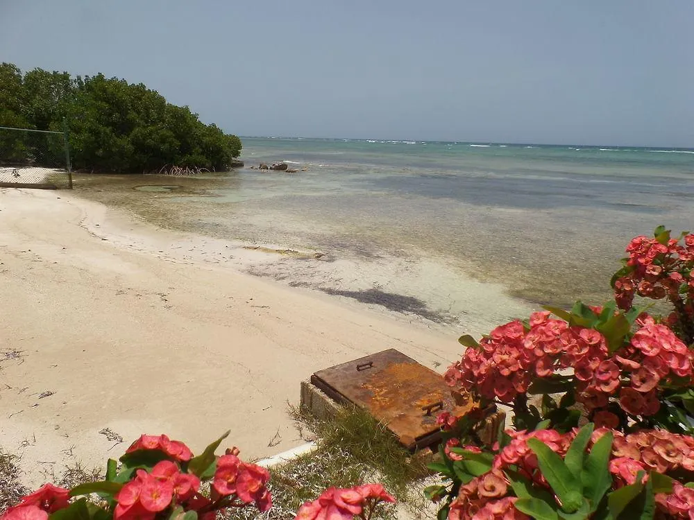 Hotel Reggae Reef All Inclusive Montego Bay