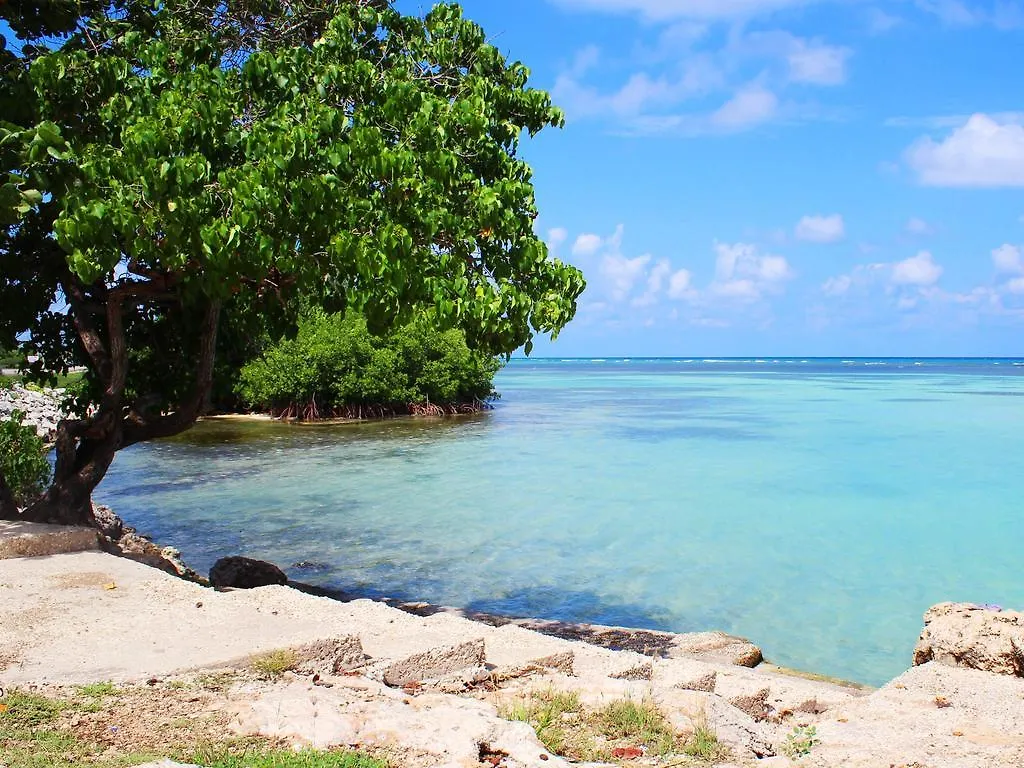 Reggae Reef All Inclusive Μοντέγκο Μπέυ Ξενοδοχείο