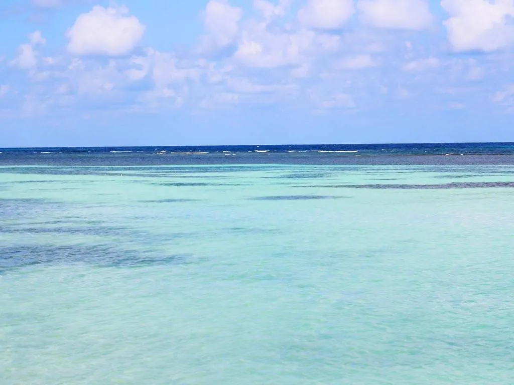 *** Ξενοδοχείο Reggae Reef All Inclusive Μοντέγκο Μπέυ Τζαμάικα